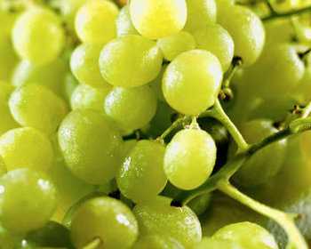 По мнению сторонников углеводных диет, фруктоза, содержащаяся в винограде, не вредна