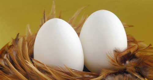 К чему снится много яиц: толкование сна про яйца: