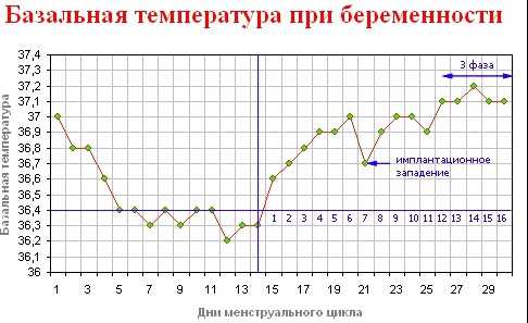 Аборт: стадии выкидыша