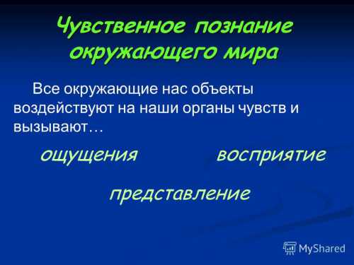 В результате создается целостное отражение этого объекта